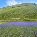 Gorgeous In With House A Mountain View *