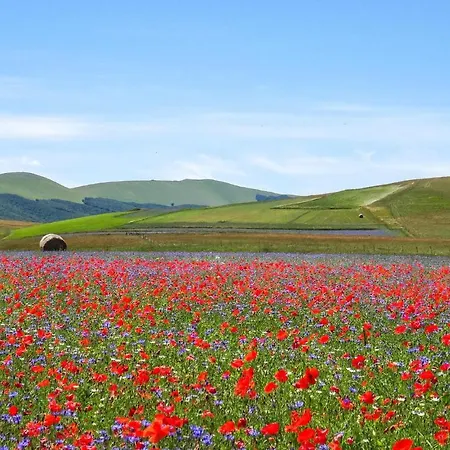 Beautiful In With Wifi Preci