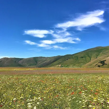 Beautiful In With Wifi Preci