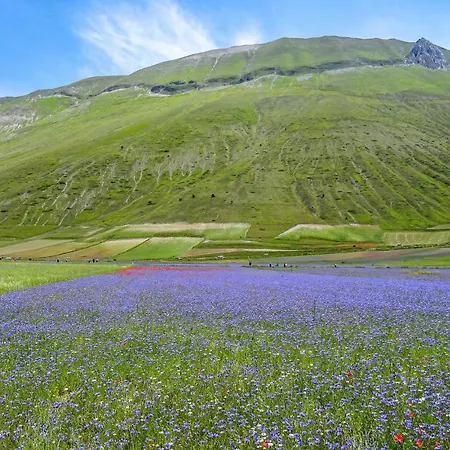 Beautiful In With Wifi *