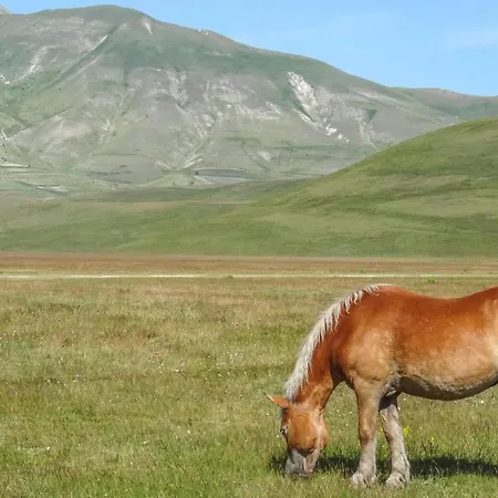 Beautiful In With Wifi Holiday home *