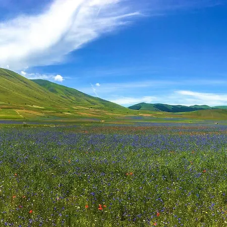 Semesterbostad Beautiful In With Wifi Preci